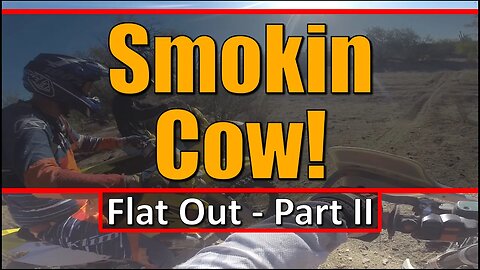 Smokin Cow! - Flat Out - Part II