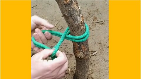 how to tie a rope to a tree