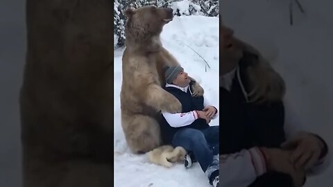 Have you ever got a hug from bear? #unseen #animals #moments #viral #shorts #reels