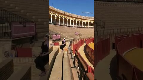 One of The Last Active Bullfighting Rings in Europe at Seville. #bullfight #sevillespain #seville