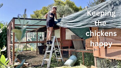 Revamping and Sorting Out the Chicken Coop