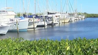 County leaders break ground on water quality project