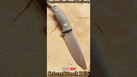 LionSteel M5! #22aday #22adaynomore #knife #bushcraft #knife #edccarry #huntingknife #bowieknife