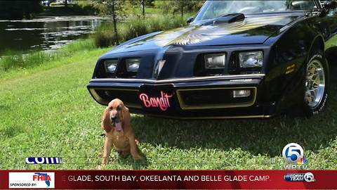 Jupiter police names new K-9, 'Bandit', after Burt Reynolds