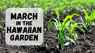 Month By Month In The Hawaiian Garden: March