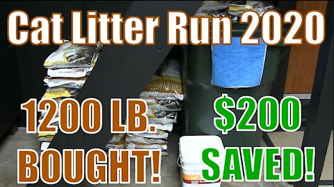 Cat Litter Savings Run 2020 - I Bought 1200lbs!!!
