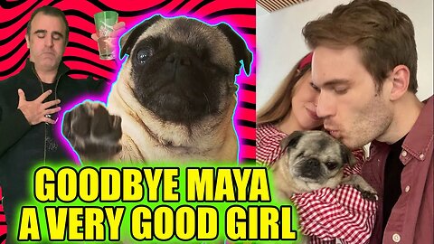 PewdiePie G Fuel is it any good? | RIP Maya #pewdiepie