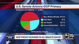 Poll shows Martha McSally solidifying her Arizona Senate primary