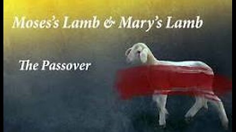 The Passover lamb