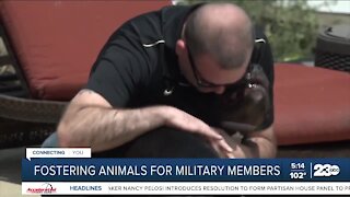 Organization fosters dogs for deployed military members