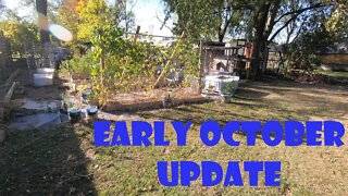 Early October Update