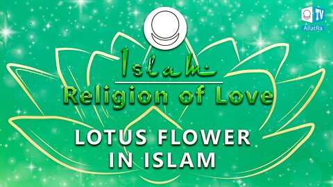 Lotus Flower in Islam. Islam: Religion of Love