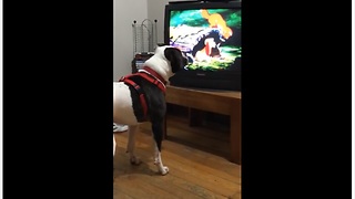 Dog has new favorite animated movie to watch