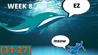 DOLPHINS VS LIONS (WEEK 8) RECAP