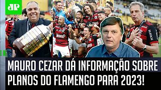 "Essa é UMA DAS METAS para 2023! O Flamengo quer..." Mauro Cezar DÁ INFORMAÇÃO!