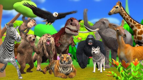 Animals Video for Kids Education