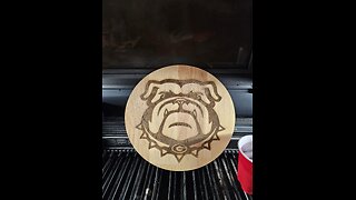 Laser Engraving with the XTool P2 co2 Laser Bulldogs, photos, designs, laser cutting