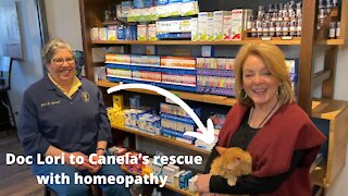 Dr. Lori uses Homeopathy "the opposite of traditional medicine" for Canela's recovery