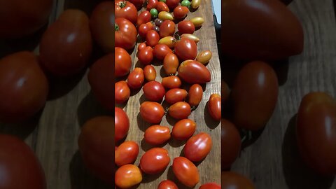 Tomatos 🍅
