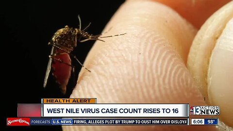 West Nile infection count rises to 16 in Las Vegas Valley