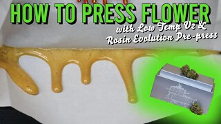 Pressing 2 OUNCES Of Flower - with @Lowtemp Industries, LLC V2 & @Rosin Evolution Pre-Presses