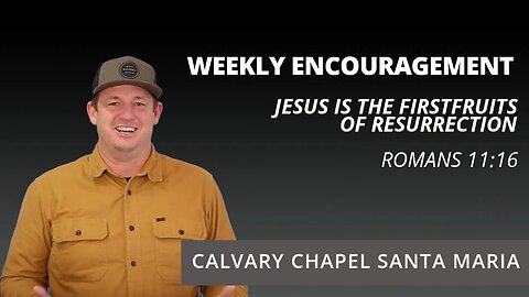 Weekly Encouragement | Romans 11:16