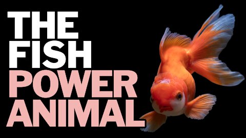 The Fish Power Animal