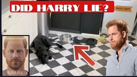 The alleged fight! Is Harry’s version the actual truth? #therapist view