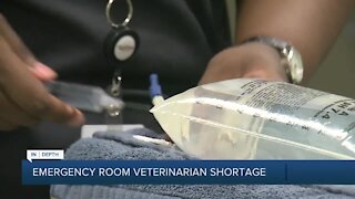 Emergency Room Vet Shortage