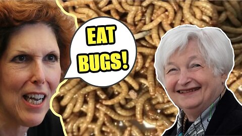 Bug Burgers Ready For Mass Production As Gouls Meet In Davos