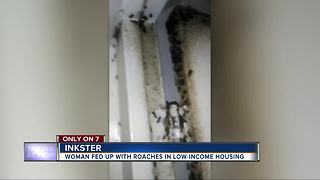 Mother, children left to deal with cockroach infestation at Inkster housing unit