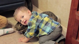 Toddler just can't get enough of pet bunny