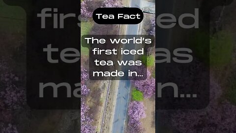 The world’s first iced tea was made in... #shorts