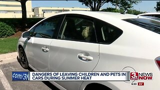 The Dangers of Leaving Children and Pets in Cars During Extreme Heat