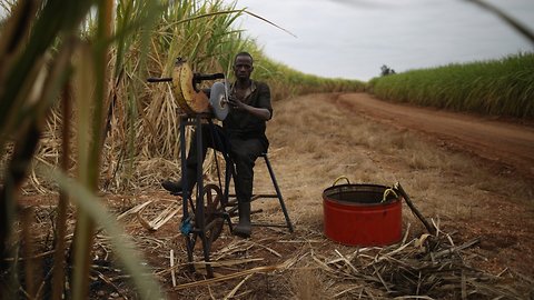 Report: US Embassy Issues Memo About South African Farmer Deaths