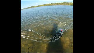 cast netting bait