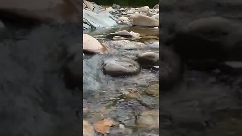 Relaxing water sounds through pebbles Scotland #shorts #relaxingsounds #watersounds