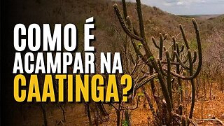 OS MAIORES DESAFIOS DO BUSHCRAFT NA CAATINGA