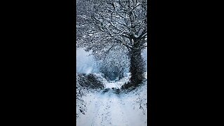 Beautiful Winter Nature #travel #viral #shorts