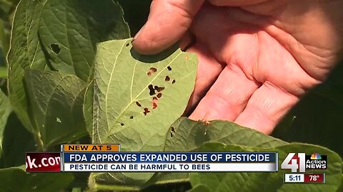 EPA announces expanded use of pesticide believed to be toxic to bees