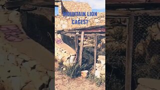 Abandoned gas station that caged mountain lions near Winslow, Arizona #route66 #shorts