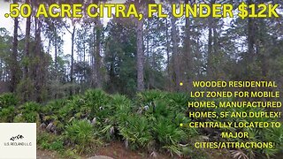.50 ACRE CITRA, FL UNDER $12K! ZONING ALLOWS DUPLEXES, SF, MANUFACTURED AND MOBILE HOMES!