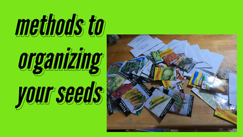 seed storage organizing garden seeds