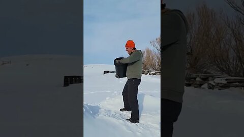 Helping the pheasants make it to spring snowmelt. #shorts