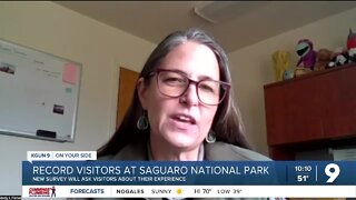 Saguaro National Park has record number of visitors