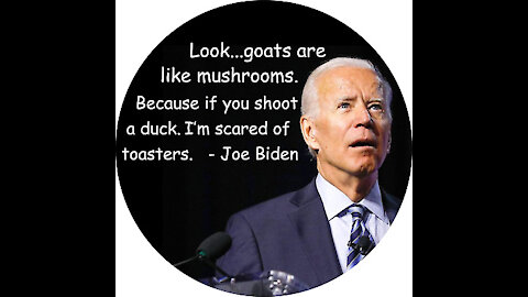 Biden Is As Dumb As A Rock