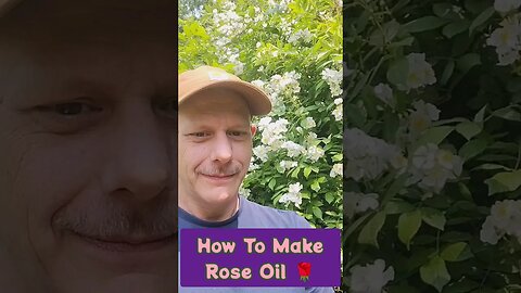 How To Make Rose Oil In 42 Seconds #rose #flowers #diy #homemade #easy #nature