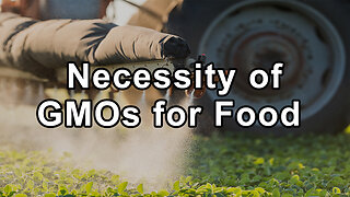 Questions and Answers With Stephanie Seneff, Ph.D. on Necessity of GMOs for Food Production, Organic