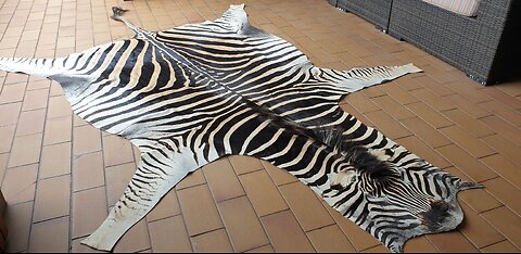 Unfelted Zebra Rug
