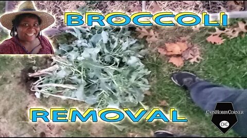 Completing Broccoli Removal